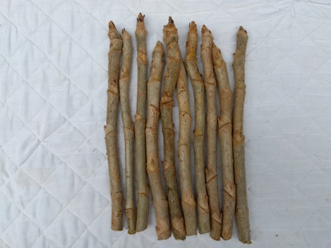 ちえさん専用
紅白ごうしゅ芋各５００ｇセットを３セットと
タラの芽原木１０本セットをまとめてお届けいたします。