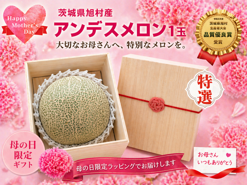 【母の日ギフト】茨城県旭産アンデスメロン【特秀】1玉