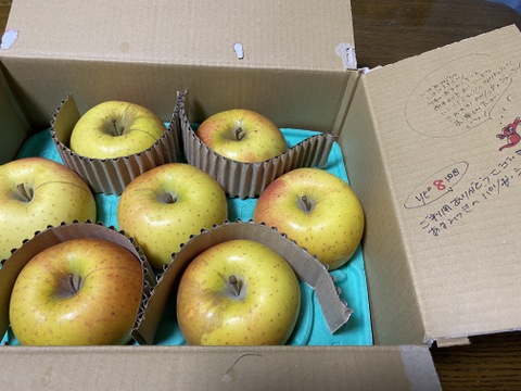 【希少種】【あまみつき】（2kg・6～9個入り）パリ甘・ジューシーお得な家庭用