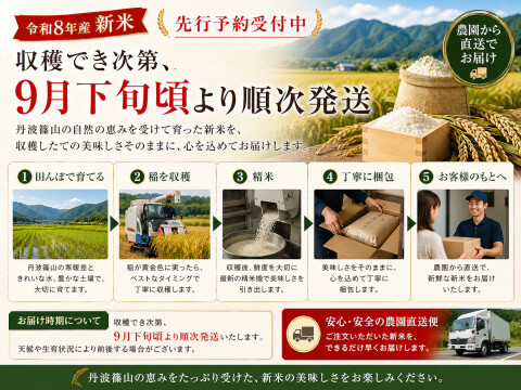 【令和8年産 新米・先行予約】丹波篠山産 コシヒカリ 10kg 2026年産・農園直送 ご家庭用 新米 特 コシヒカリ こしひかり 10㎏ 数量限定 お米 米