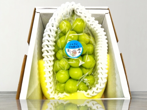 ご進物用】シャインマスカット クール冷蔵便：岡山県産のシャイン