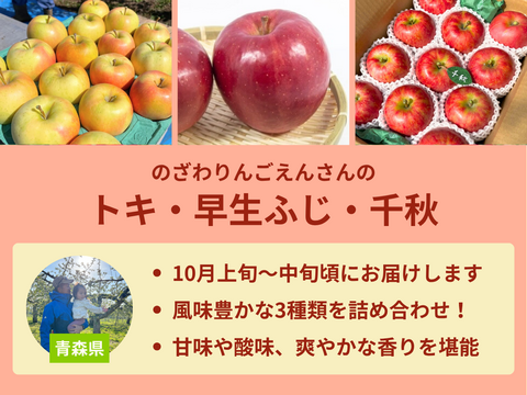【売り切れ】 【限定300セット】8種のりんご食べ比べ便（食べチョク公式）