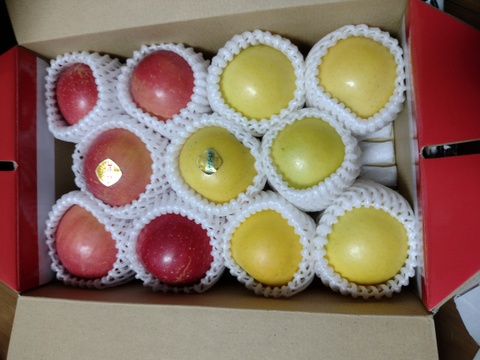 まるごとガブリっ！小玉・食べきりサイズMIXりんご【岩手奥州市江刺産】              小玉おまかせミックス2kg