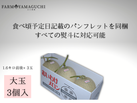 ギフトに大人気 【北海道メロン】 3玉入り　大玉