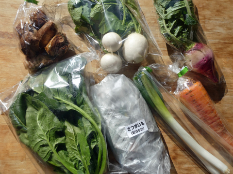 一人暮らしの方に・季節の野菜セット５～７品（Ｓサイズ・1～1.5kg前後）【お試しサイズ】