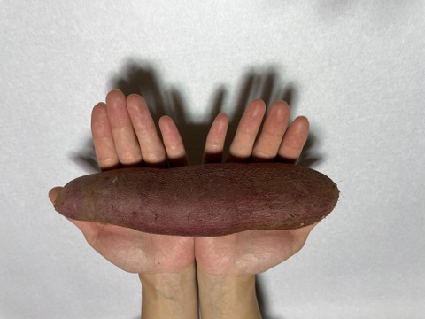 ねっとり熟成べにはるか2s~2Lサイズ（60ｇ～500ｇ）（ご家庭用・５キロ）洗いも対応いたします。