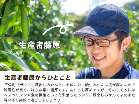 蔵出しみかん晩生10kg｜日本農業遺産認定の和歌山県海南市下津町の特産品