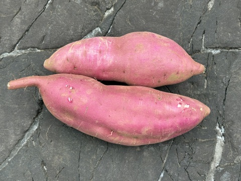 【希少さつまいも】しっとりあまはづき！ホクホク栗かぐや　食べ比べ（3～４種）