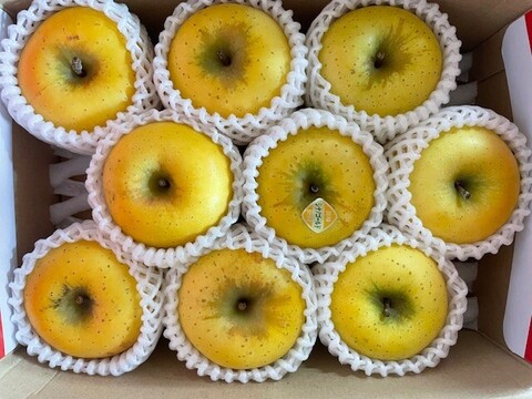 絶妙な酸味と甘み！岩手江刺産【シナノゴールド】家庭用２㎏