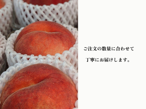 【7月上旬お届け】桃好き必見！桃のリレーが楽しめる！季節の【桃】おうち用（もも）お試しセット 約4kg 約10~12玉