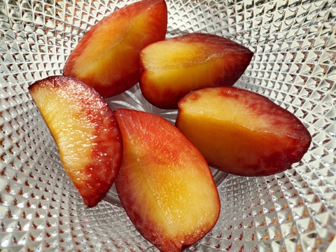 完熟すもも 農薬不使用】紅りょうぜん 自然栽培すもも：大分県産