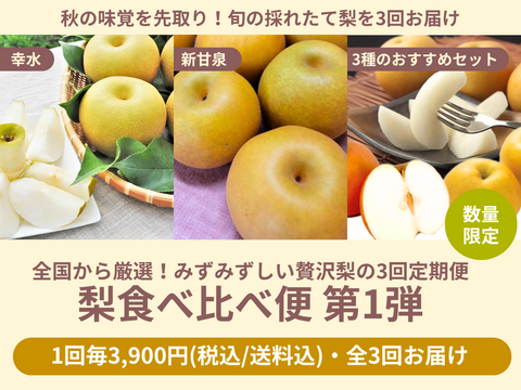 【限定300セット】梨食べ比べ便第１弾※送料込※（食べチョク公式）
