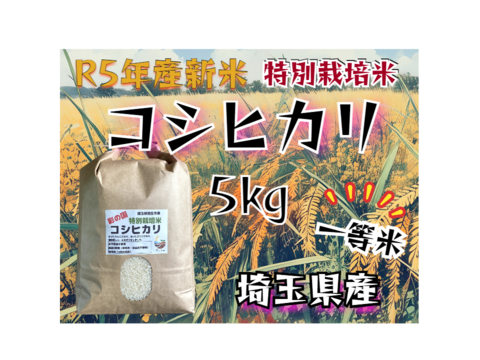 甘くて、味わい深い一等米！Pino farmのおすすめ R5年産特別栽培米 ...