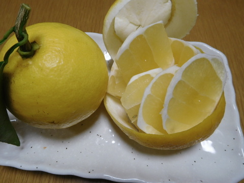 🍊 伊豆特産ﾆｭｰｻﾏｰｵﾚﾝｼﾞ（日向夏）　贈られて喜ばれる爽やかな初夏の味　! 　　正味4.0㎏