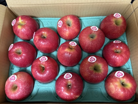 本当にラスト6件🍎 ピンクレディー®︎3キロ箱  長野県 信州 安曇野 リンゴ 幻 幻のリンゴ 予約 希少 旬 6玉〜16玉サイズ 商品ID42100 ピンクレディー