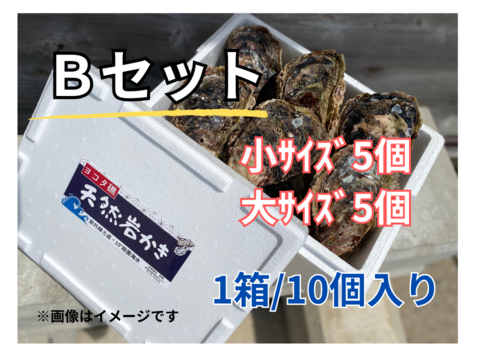 【夏期限定】ヨコタ礁天然岩牡蠣_生食用　Ｂセット（小5個、大5個）