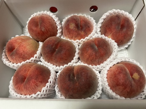 桃名人厳選　桃【ご家庭用　訳あり商品】白桃約2ｋｇ(5-9玉）