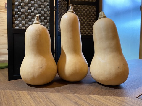 ポタージュやスープにピッタリ！　バターナッツカボチャ　2個