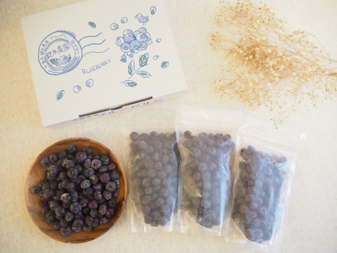 そのままおいしい700g大粒冷凍ブルーベリー【予約商品】