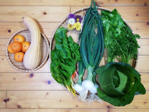 【農薬化学肥料不使用】ミカン入り野菜セット【８種類以上の野菜】【金曜日発送】【熨斗(のし)対応可】【８０サイズ箱】