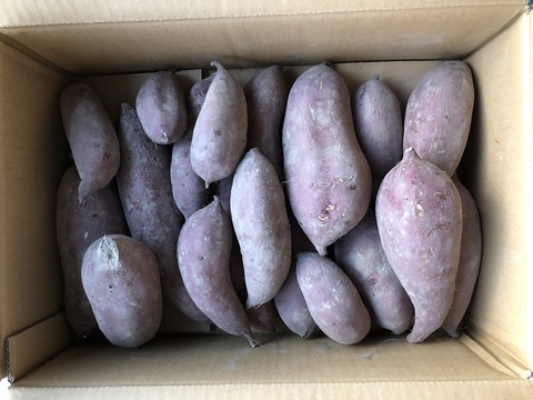 【訳あり】発酵で土づくり、無農薬栽培のサツマイモ 3kg 約18本〜20本　シルクスウィート