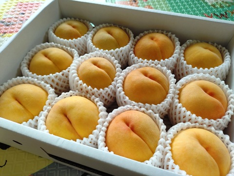 【 🍑黄金桃•家庭用🍑 】山形県天童産 桃 3.0k 【 果肉ジューシー 】お米とご一緒に！