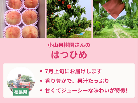 【売り切れ】【限定100セット】3種の桃だより第4弾（食べチョク公式）