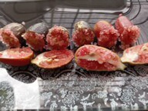 南からの贈り物　フィンガーライム２００ｇ