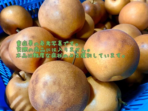 ⚠️訳アリ・加工用梨⚠️　千葉県産【新高】約4.5㎏　市川のなし