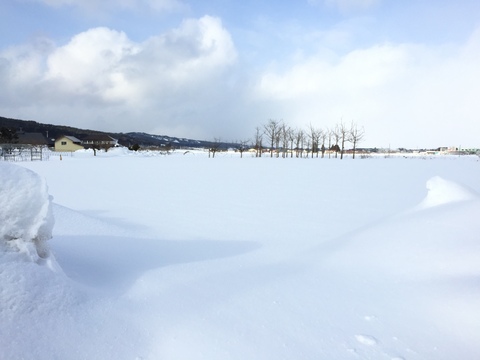 会津産　佐瀬農園のあまーい雪下ニンジン
