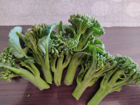 ✨農薬・化成肥料不使用の新鮮スティックセニョール（茎ブロッコリー）約300g✨😊