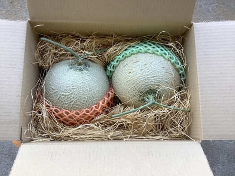 【ご家庭用】【お買い得】アールスメロン　１．３～１．５ｋｇ　×　２個セット　（富山県氷見市産）