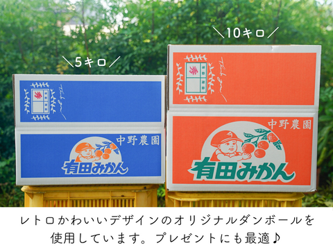 超ジューシー！ゆら早生 有田みかん 3ｋｇ 家庭用