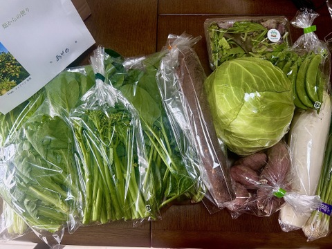 【二十四節気の野菜９～１２品目】魚のまち農家の野菜セット
