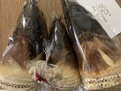 【和歌山産】天然たけのこ 孟宗筍 2.5kg以上 朝採り 当日発送 翌日お届け 肥料・農薬不使用