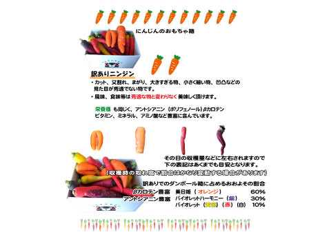 熊本県芦北産甘いフルーツにんじん「食べ比べ」【訳あり】詰め合わせ美日姫２キロ農薬不使用 化学肥料不使用 高品質にんじん 皮ごとサラダ ジュース  炒めても絶品  スティックやジュースで無限消費確定！