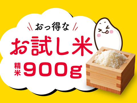 お試し米 一等米コシヒカリ 900g（精米） 初回購入や一人暮らしの方にオススメ！