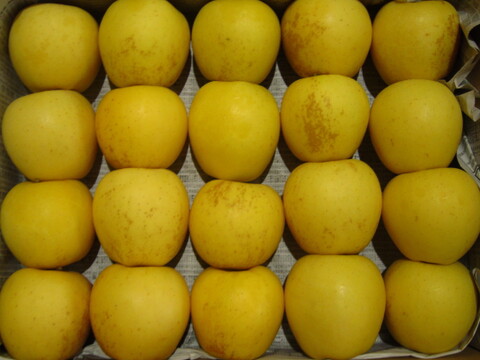 樹上完熟 有袋はるか 小玉 家庭用 総重量 約4.3kg 青森県 南部地方産 自家りんご農園生産直送品！