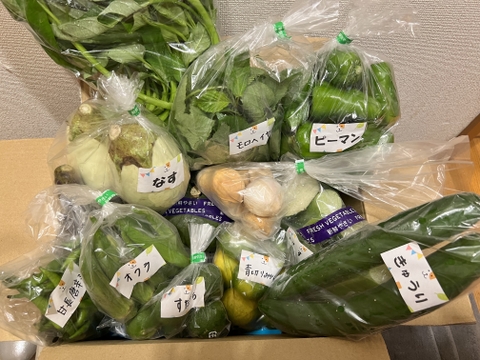 【数量限定】お得いっぱい！秋野菜詰め合わせ箱☆🥗🍠🥦＋ジャンボにんにく付き🧄