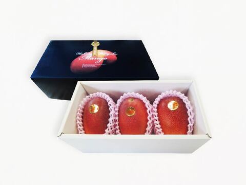 食べチョク限定】（3玉）樹齢25年以上の木からなる糖度約17～18度の