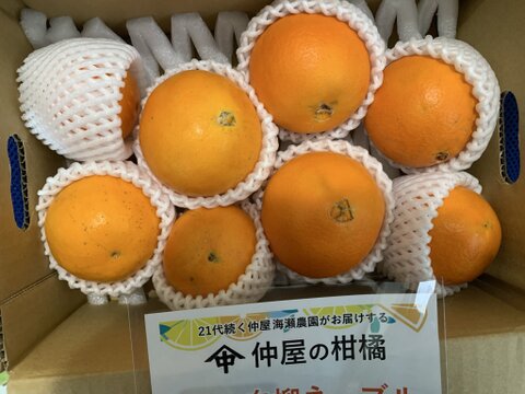 【アワード受賞】芳醇な味と香り 訳あり 白柳ネーブル 2kg サイズ混合 仲屋 海瀬農園