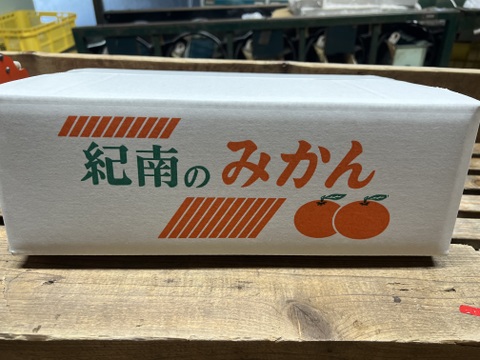 【冬ギフト】木熟みかん『田口早生』Sサイズ「熨斗対応可」