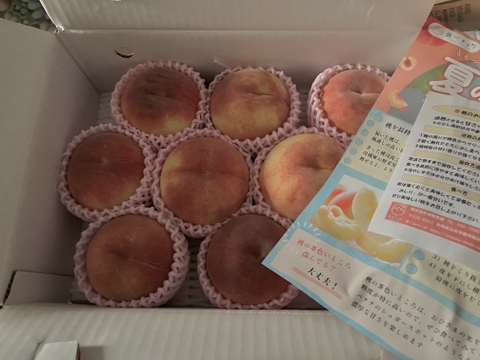 早期予約価格　🍑レア品種 さくら白桃　3kg 8～14玉　家庭用　採れたて農家直送