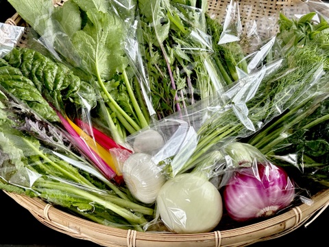 SALE！Sサイズ [信州産] 春野菜の玉手箱