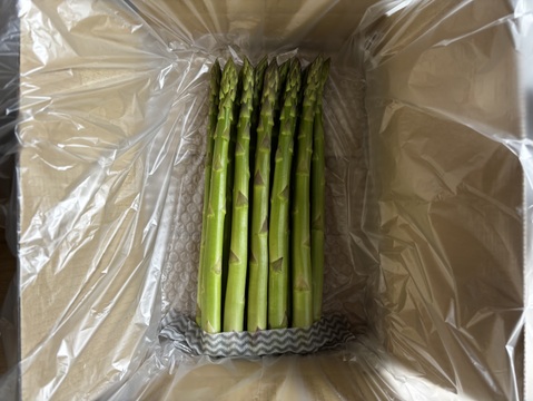 【受賞記念特別価格🎊】【極太500g】那須塩原産アスパラ｜じゅわっと感じる奥深い甘み！｜2Lサイズのみ｜特別価格は5/20まで！