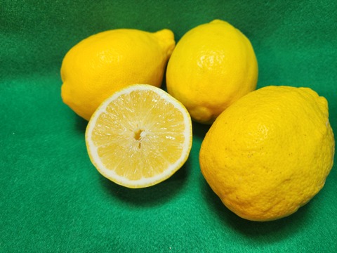 みかん箱込約2㌔レモン箱込約2㌔ 奇跡の出会い！とろける甘さのみかん＆超希少な種なしレモン