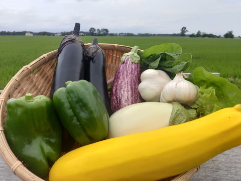 【北海道産】ニンニクと仲間の野菜たち　詰め合わせセット【農薬を使用せず自家栽培】