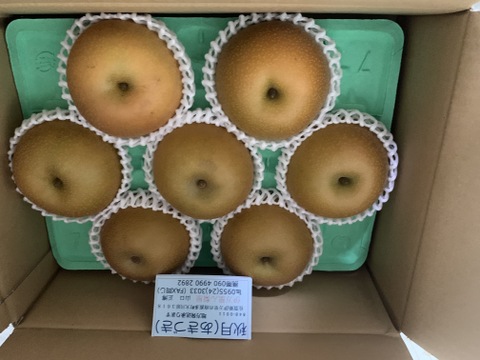 とにかく美味しい「あきづき梨」3キロ箱　発送中