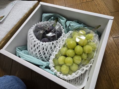 完熟シャインマスカット&ニューピオーネ