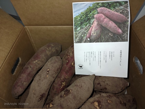 北海道産さつまいも『べにはるか』10kg【冬ギフト】Mサイズ